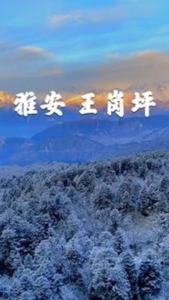 参与如何调整O型腿知识星球，拓宽见识，共创精彩